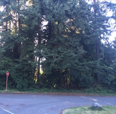 8705 Maplewood Ln, Edmonds, WA 98026 - photo 3