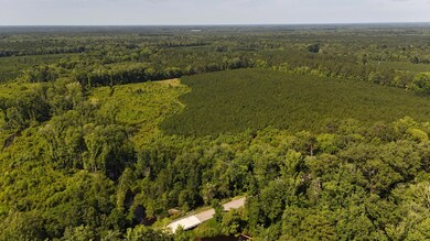 DJI_20250611102957_0057_D