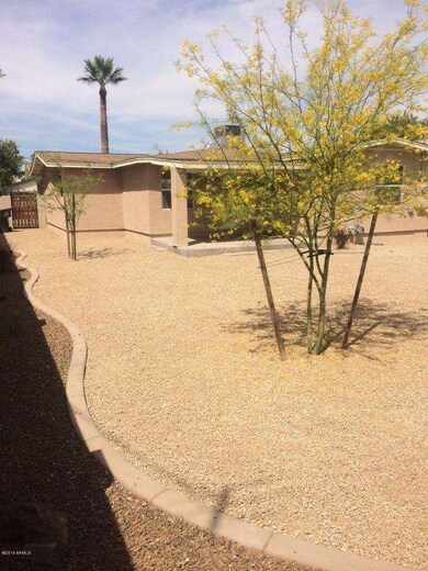 Back Yard Landscaping 4