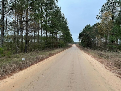 --2B Irving Rd, Batesburg-Leesville, SC 29006 - photo 3