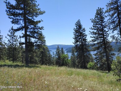 146399 E Falcon Crest Rd, Harrison, ID 83833 - photo 6