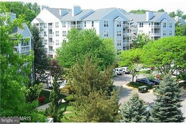 The Four Winds at Oakton unit B1, Oakton, VA 22124 - photo 5