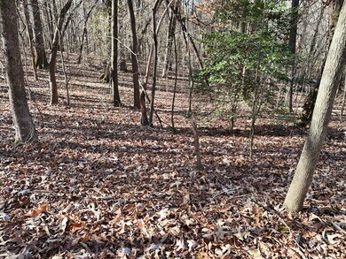 Lt 24 Winding Creek Rd, Blue Ridge, GA 30513 - photo 4