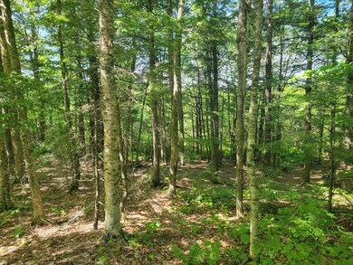 00 Fahi Pond Rd, Embden, ME 04958 - photo 5