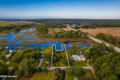 20-web-or-mls-chadwick-visuals-134-goose