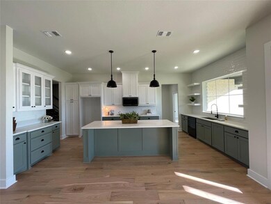 216 Chisolm Trail, Pottsboro, TX 75076 - photo 5