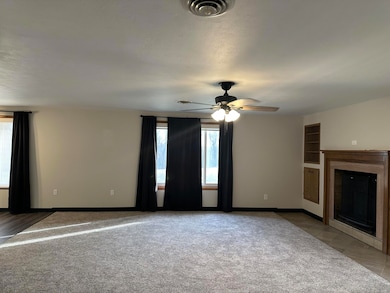 260 John the Diver Trail, Branson, MO 65616 - photo 3