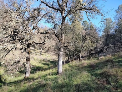 12288 Kenneth Ct, Alta Sierra, CA 95949 - photo 7