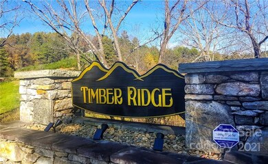 81 Timber Ridge Cir unit LOT 18, Leicester, NC 28748 - photo 2