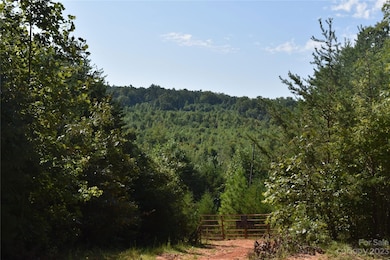 0 Highway 70 E, Nebo, NC 28761 - photo 2