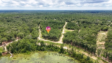 DJI_120241024223753_0043_D