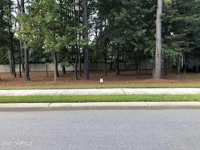 Lot 7