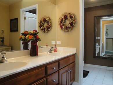 4628 Haviland Ct, Naperville, IL 60564 - photo 3