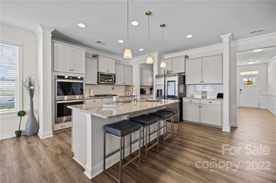 1734 Santa Clara Trace, Lake Wylie, SC 29710 - photo 5