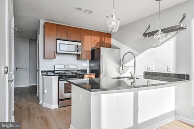 The Spectrum unit 619, Falls Church, VA 22046 - photo 6