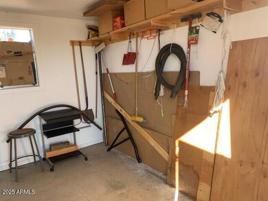 inside shed