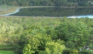 tbd N Chodikee Lake Rd, Highland, NY 12528 - photo 2