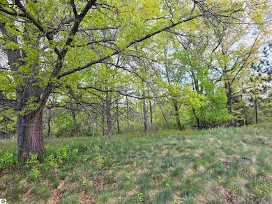 Cedar and W 12th St, Evart, MI 49631 - photo 2