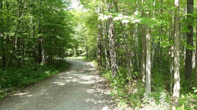 00 Vt Route 9 W, Searsburg, VT 05363 - photo 7