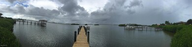 Banana River view