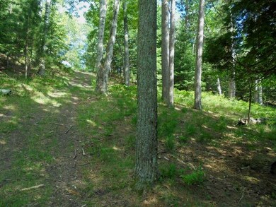 Path