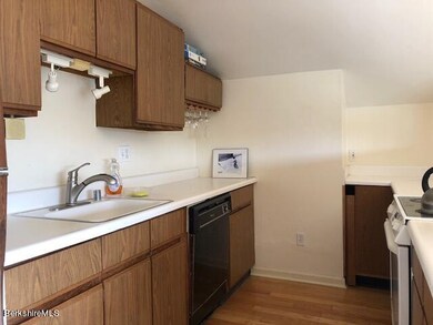 80 Maple Ave unit G, Great Barrington, MA 01230 - photo 5