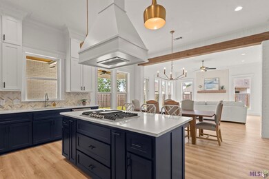 1126 Camellia Way, Denham Springs, LA 70726 - photo 5