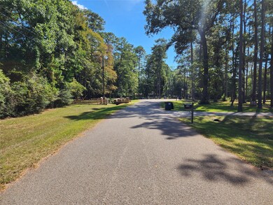 LOT 108 Sundew Ct, Magnolia, TX 77355 - photo 3