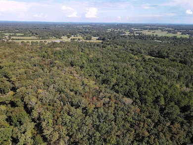 000 Charton Rd, Plumerville, AR 72127 - photo 5