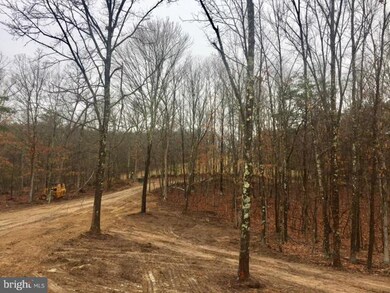 195 Levis Ridge Ln, Winchester, VA 22603 - photo 7