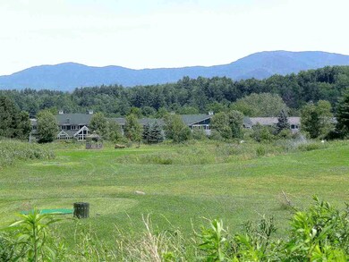 0 Stoweflake Meadows Loop unit 676/77 4719785, Stowe, VT 05672 - photo 2