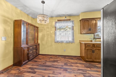 217 Beech St, Chaska, MN 55318 - photo 6