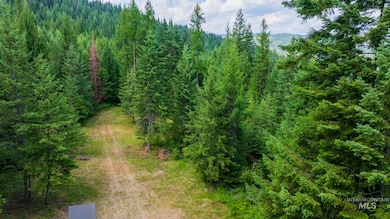 7362 S Dick's Creek Rd, Kendrick, ID 83537 - photo 4