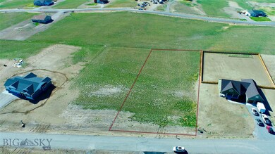 Approximate boundary lines of Lot 167 from above,
