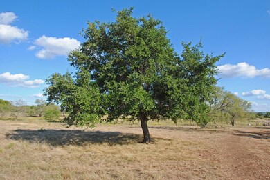 523 Funf Kinder Rd, Fredericksburg, TX 78624 - photo 6