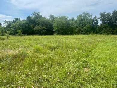 37 Red Bird Ln, Colbert, OK 74733 - photo 6