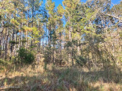 40 Ac Sally Parker Rd, Lucedale, MS 39452 - photo 3