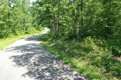 1921 McGee Rd, Linden, TN 37096 - photo 5