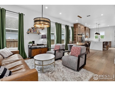 1206 Rose St, Georgetown, CO 80444 - photo 5