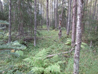 L5D Saxton Ct, Hope, AK 99605 - photo 4