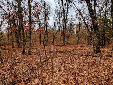XXX Lot 4 Hayden Lake Rd, Danbury, WI 54830 - photo 6