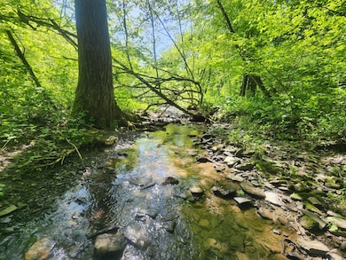 1.7 Marsh Rd unit 7, Erin, NY 14838 - photo 2