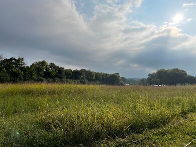 IMG_0921