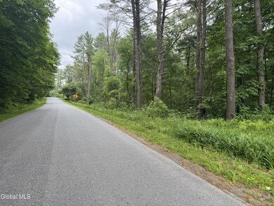 L20.4 Stevenson Rd, Cambridge, NY 12816 - photo 6