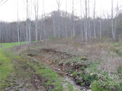 000 Summer Trees Ln, Burnsville, NC 28714 - photo 4