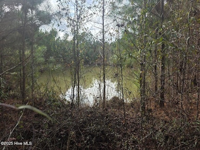 9093 Joe Brown Hwy N, Bladenboro, NC 28320 - photo 2