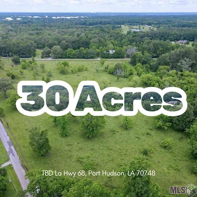 TBD La Hwy 68, Port Hudson, LA 70748 - photo 2
