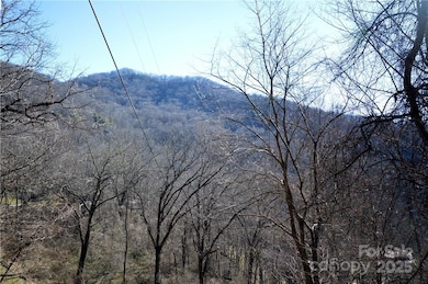24 Lochmoor Ln, Waynesville, NC 28785 - photo 5