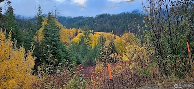 11411 Shugart Flats Rd, Leavenworth, WA 98826 - photo 5