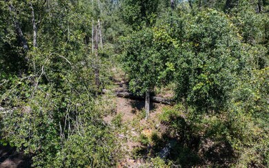 TBD 145th Rd, McAlpin, FL 32062 - photo 3